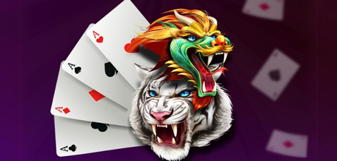 dragon-vs-tiger